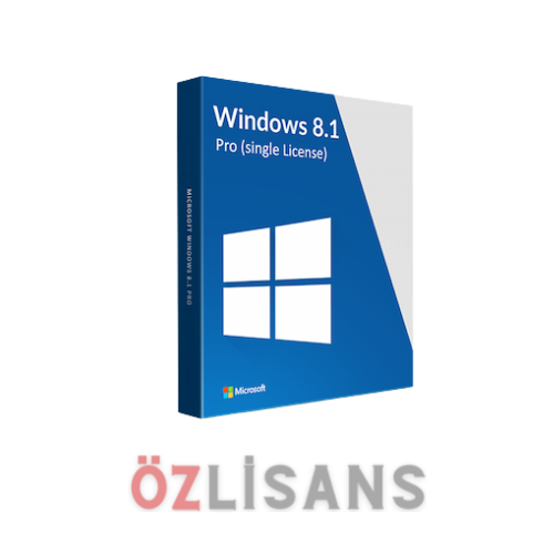 Windows 8.1 Pro (2 Kullanıcı)